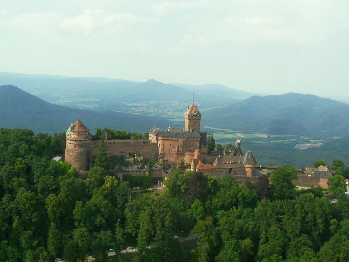 Gite La Maison Bleue Bergheim Luaran gambar