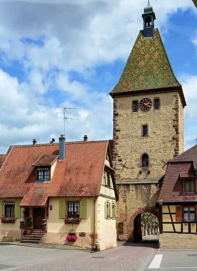 Gite La Maison Bleue Bergheim Luaran gambar