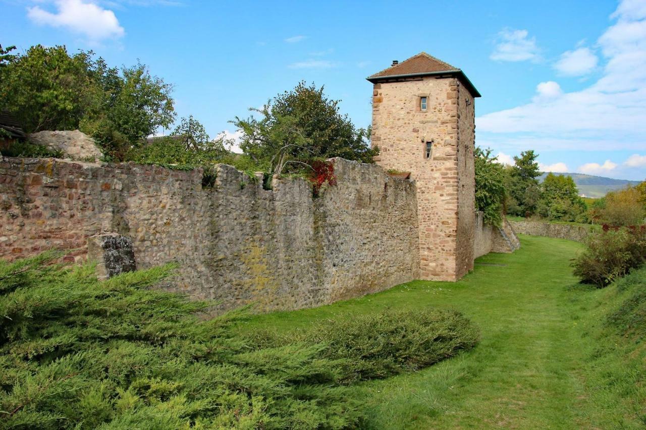Gite La Maison Bleue Bergheim Luaran gambar